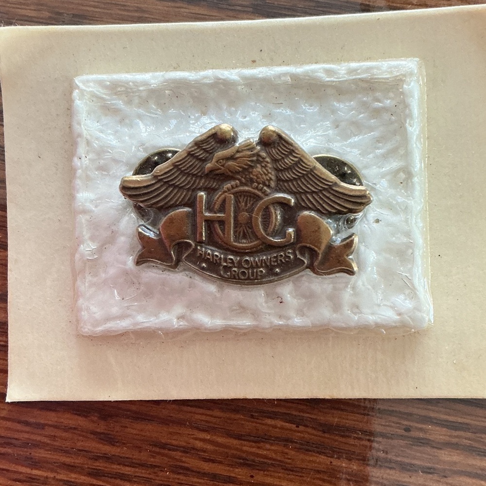 Harley Owners Group Pin with Eagle Design